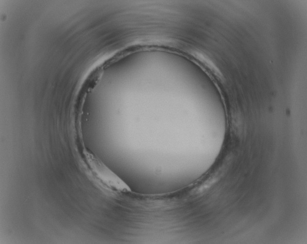 X0000077370976200611101700