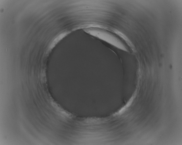 X0000077370977200611101700