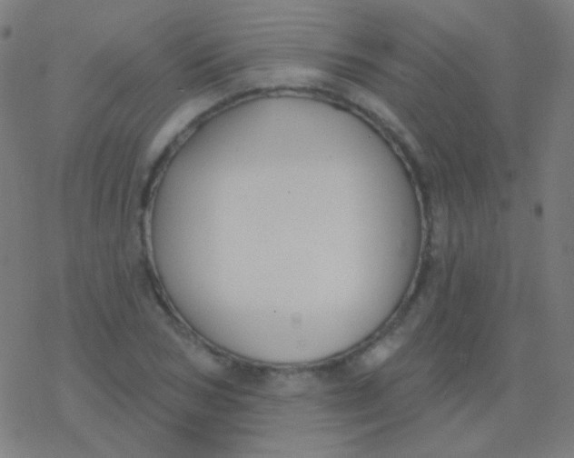 X0000077370978200611101700