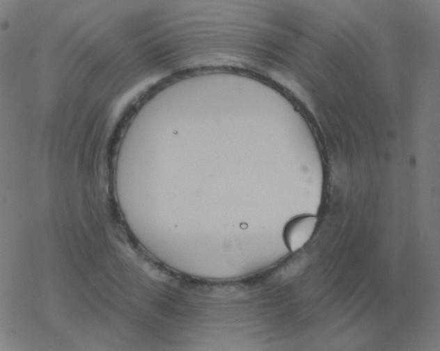 X0000077370979200611101700