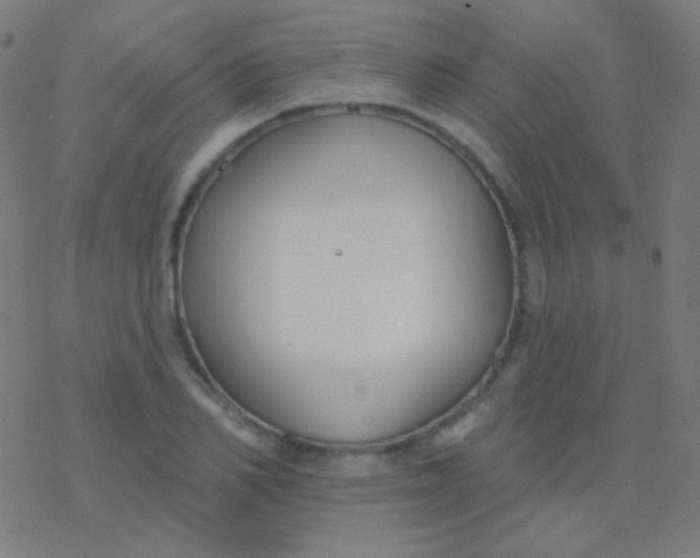 X0000077370982200611101700