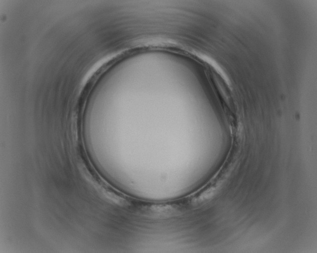 X0000077370983200611101700