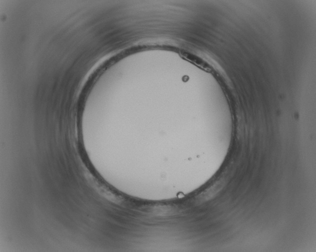 X0000077370984200611101700