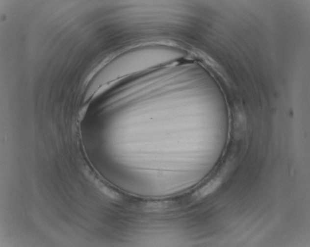 X0000077370985200611101700