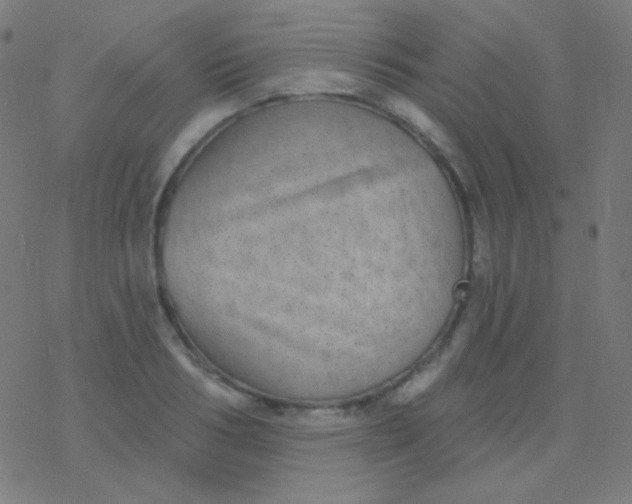 X0000077370986200611101700