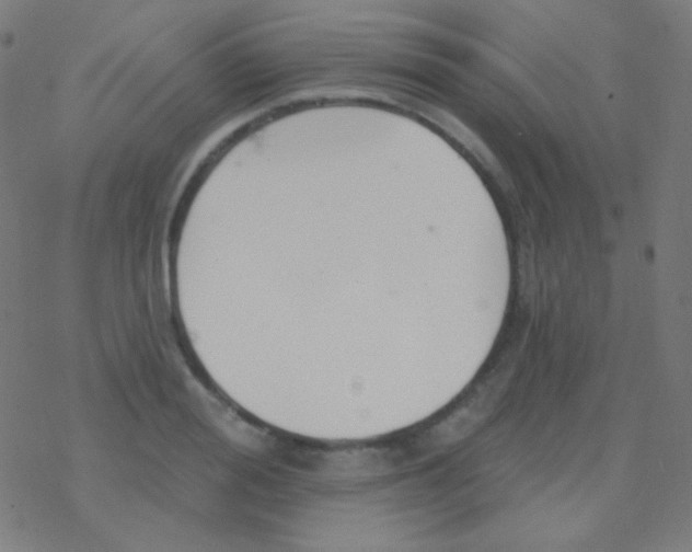 X0000077370988200611101700