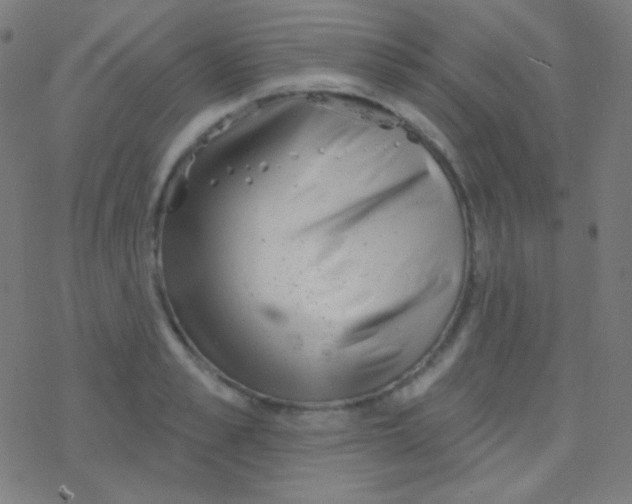 X0000077370989200611101700