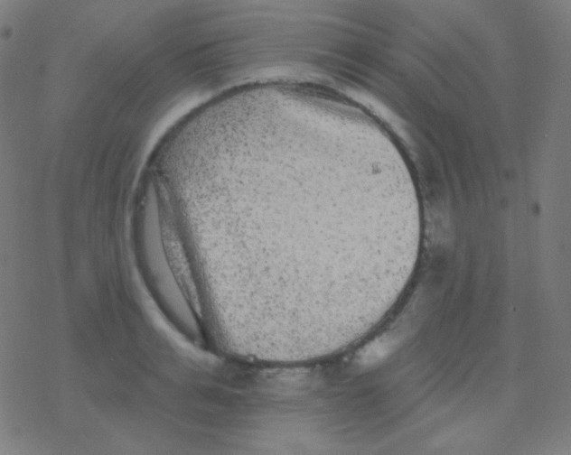 X0000077370991200611101700