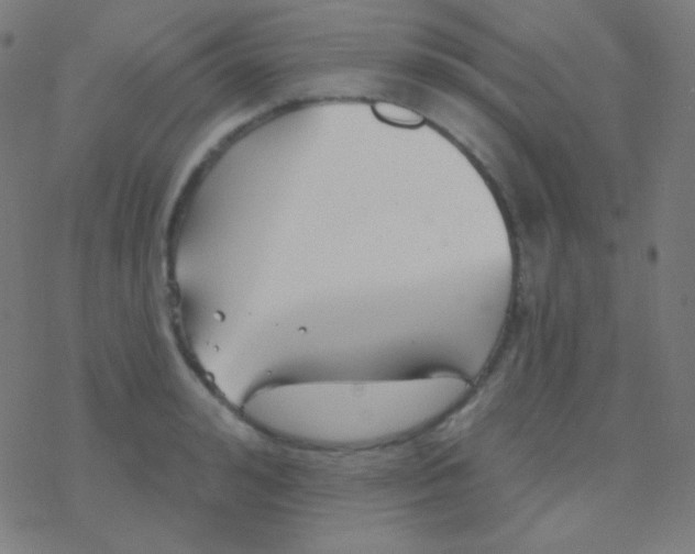 X0000077370992200611101700