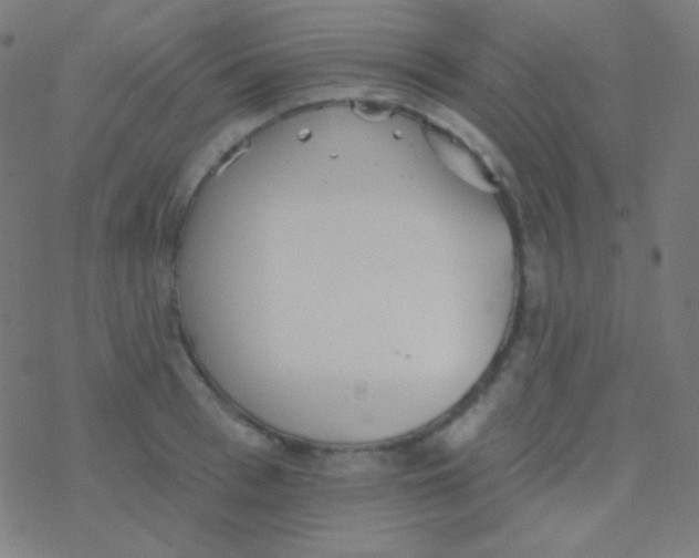 X0000077370993200611101659