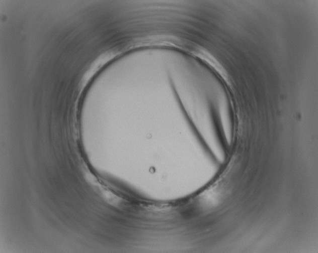 X0000077370994200611101659