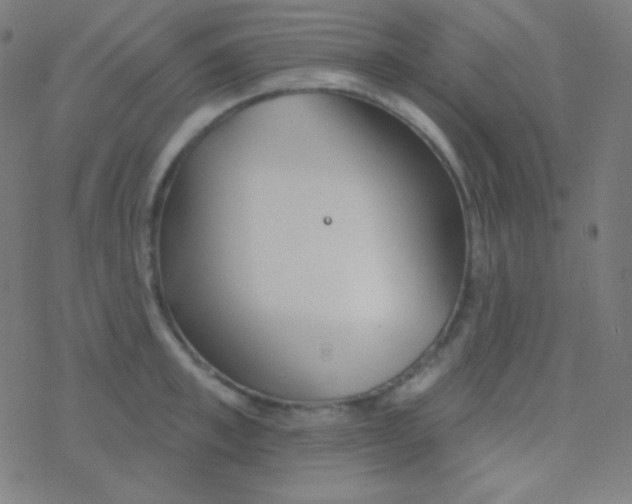 X0000077370997200611101659