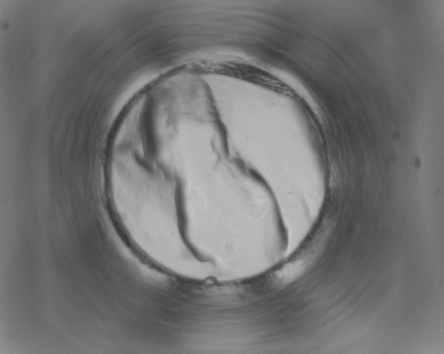 X0000077370999200611101659