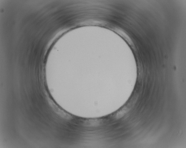 X0000077371000200611101659