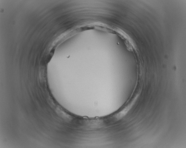 X0000077371001200611101659