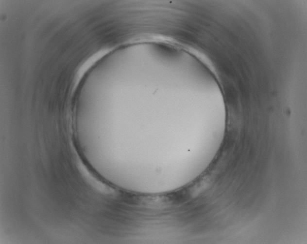 X0000077371003200611101659