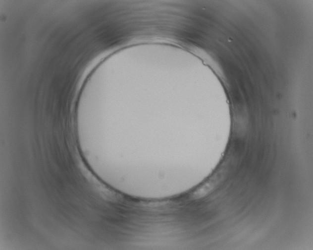 X0000077371004200611101659