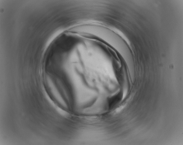 X0000077371007200611101659