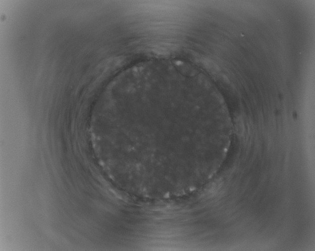 X0000077371009200611101658