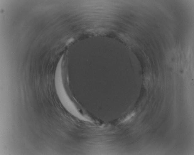 X0000077371010200611101658