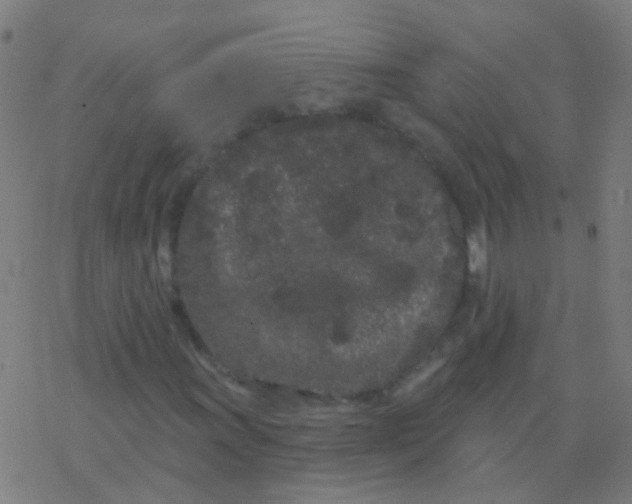 X0000077371011200611101658