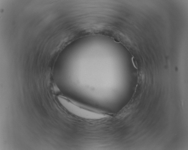 X0000077371012200611101658