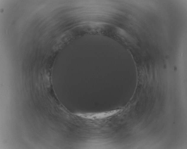 X0000077371013200611101659