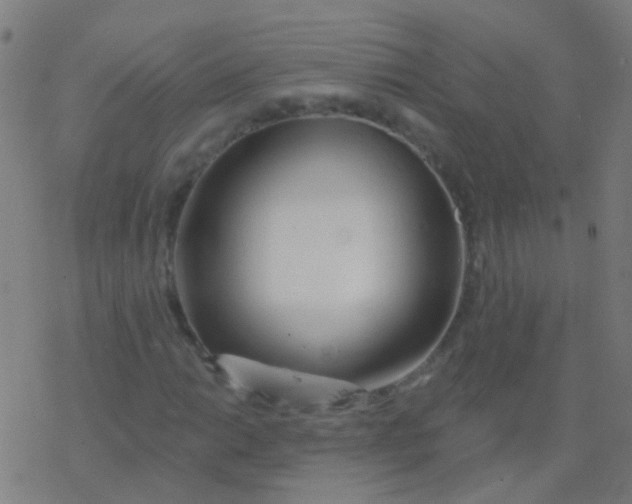 X0000077371014200611101659