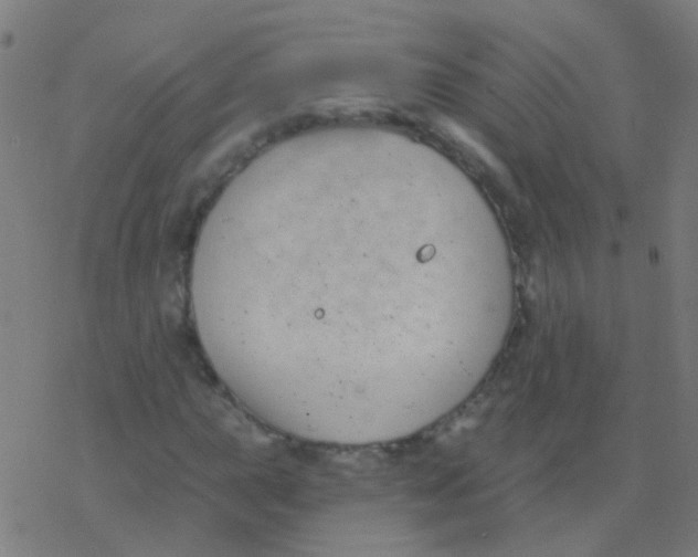 X0000077371015200611101659