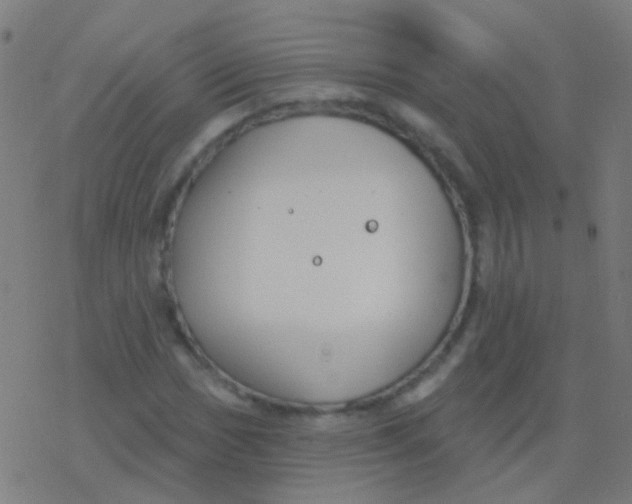 X0000077371017200611101659