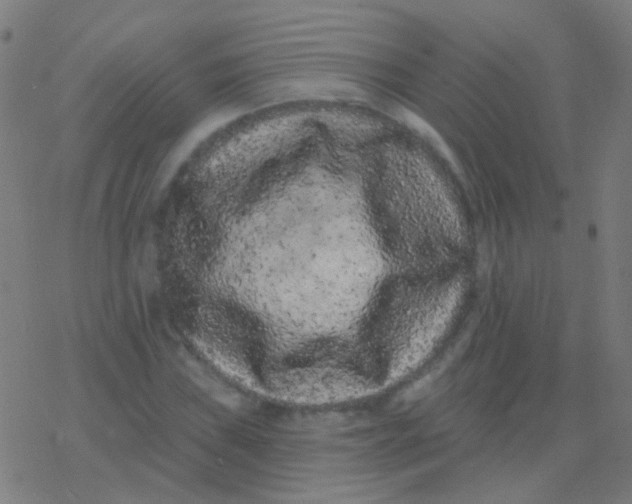 X0000077371019200611101659