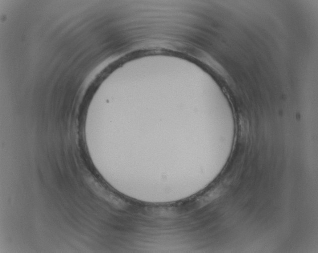 X0000077371020200611101659