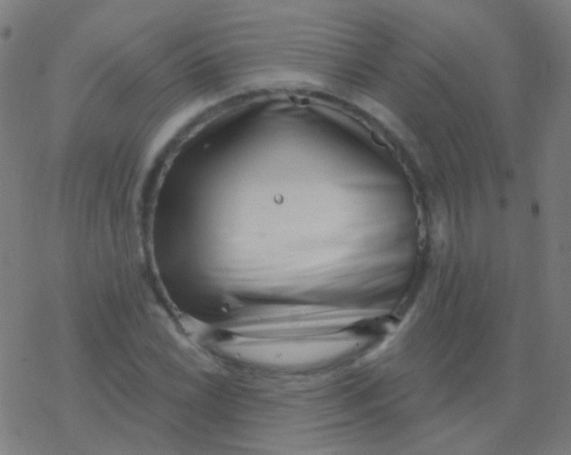 X0000077371022200611101659