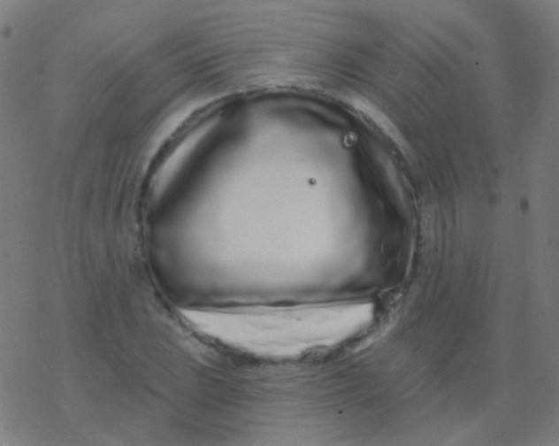 X0000077371023200611101659