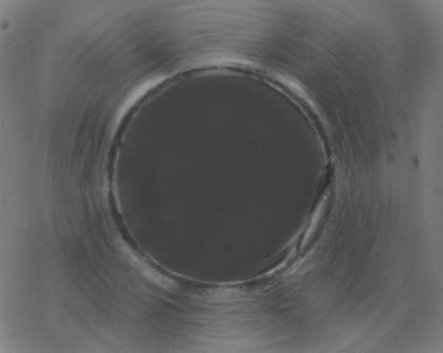 X0000077371024200611101659