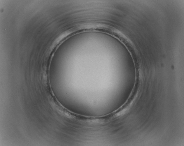 X0000077371025200611101659