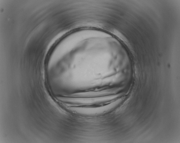 X0000077371028200611101659