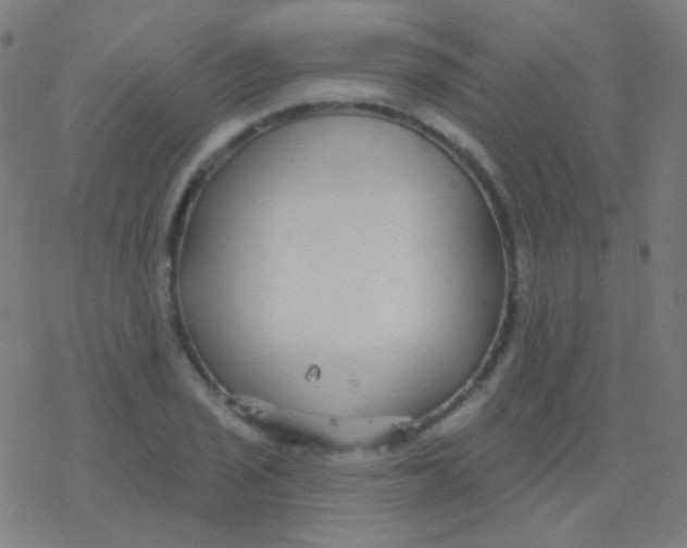 X0000077371029200611101659