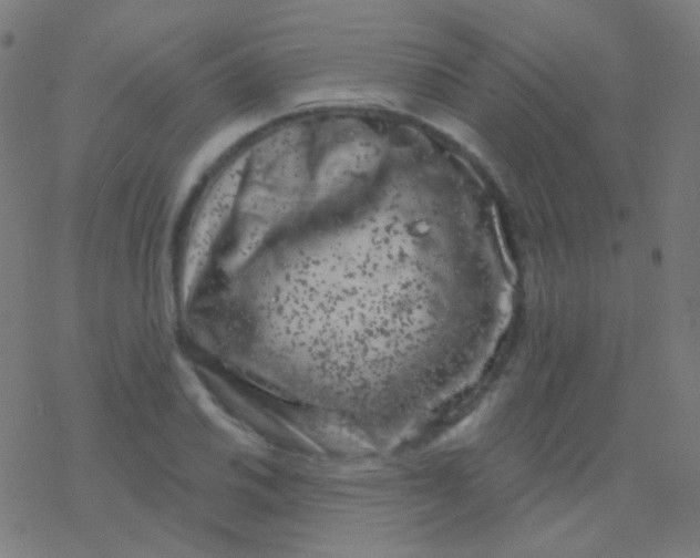 X0000077371030200611101659