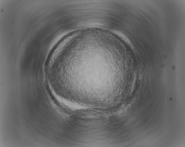 X0000077371031200611101659