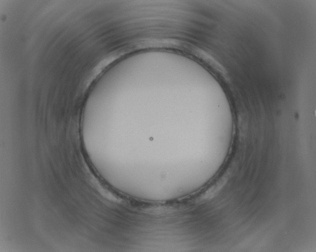 X0000077371033200611101659