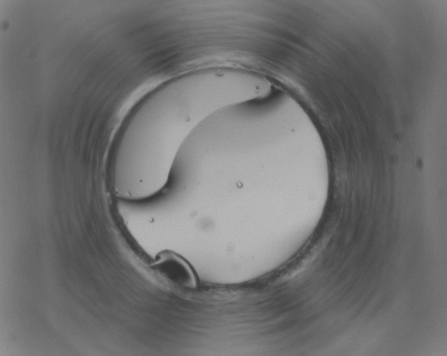 X0000077371034200611101659