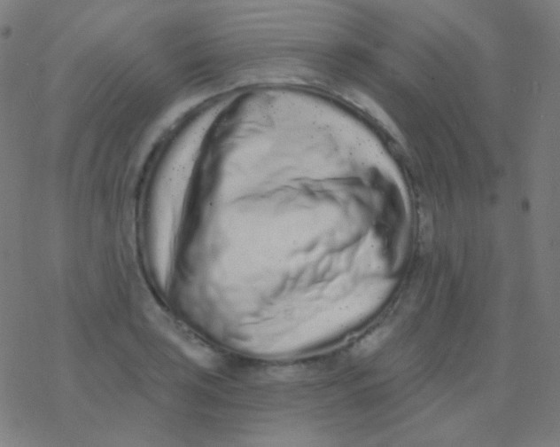 X0000077371035200611101659