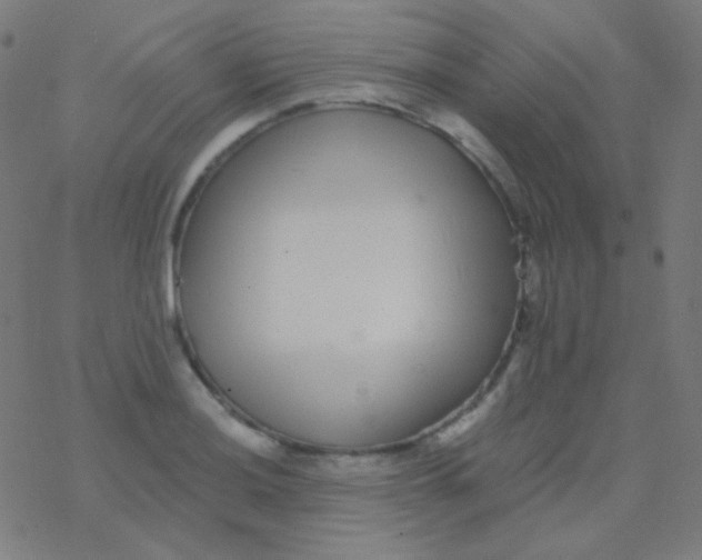 X0000077371036200611101659