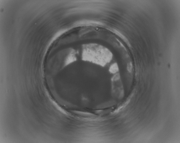 X0000077371037200611101659