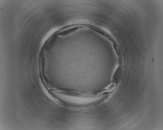 X0000077371038200611101659