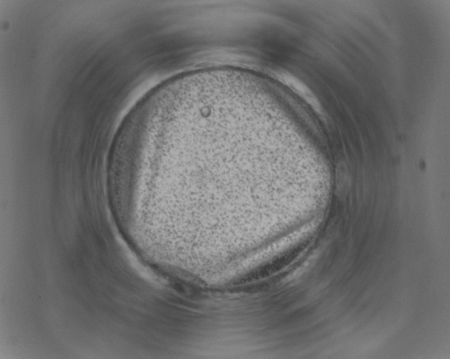 X0000077371039200611101659