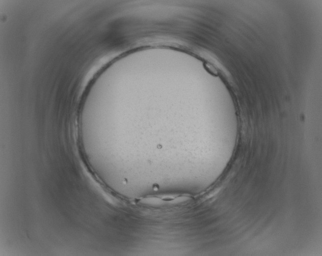 X0000077371040200611101659