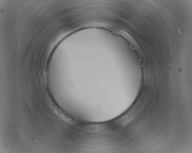 X0000077371044200611101659