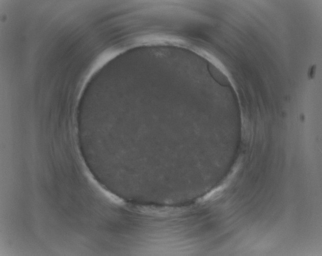 X0000077371045200611101659